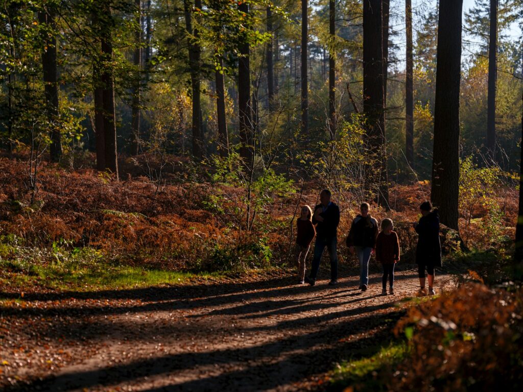 A group of people walking down a dirt road in the woods