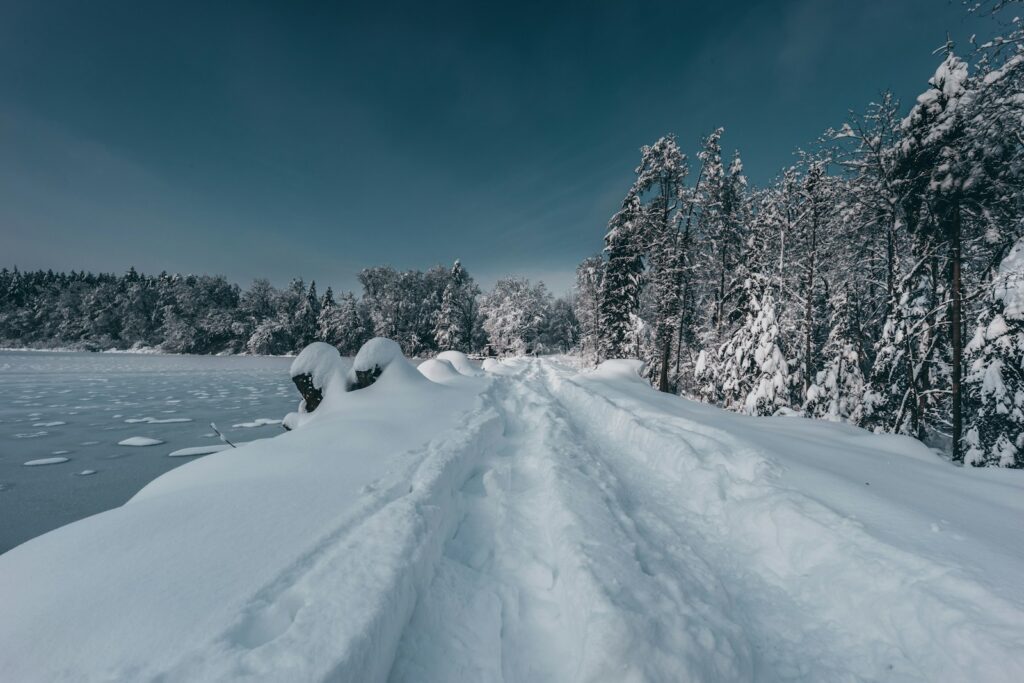 snow covered trees under blue sky during daytime