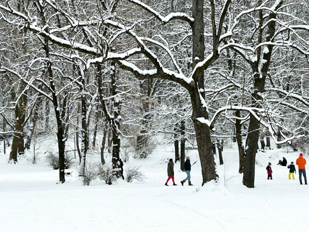 a group of people walking through a snow covered forest