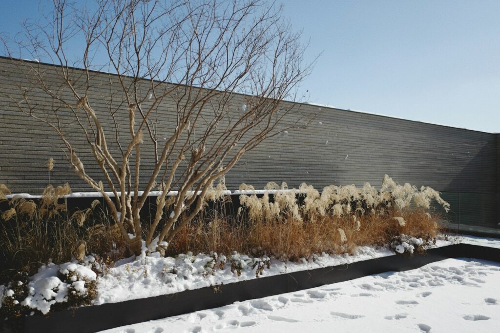 a snow covered field with a building in the background