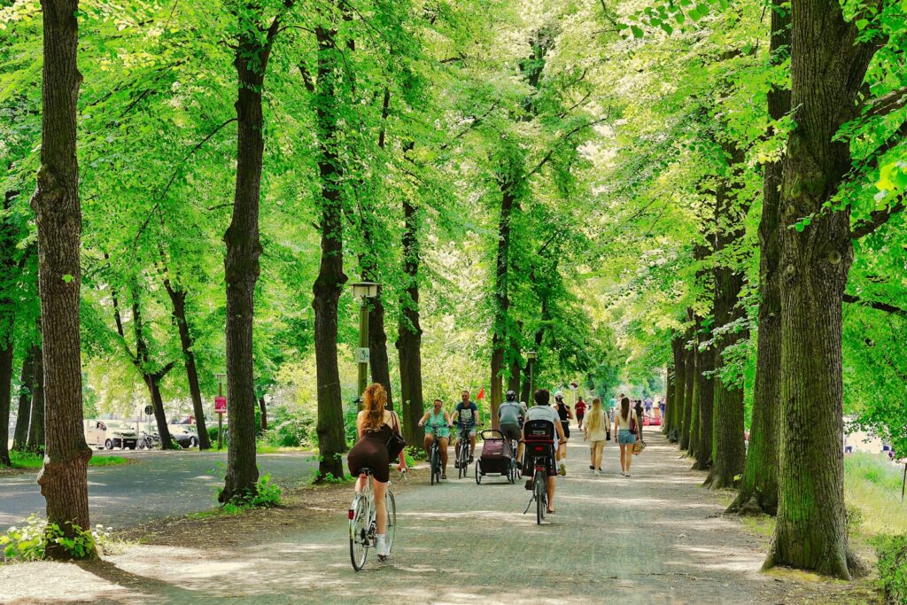 People cycling and walking on a tree-lined park path.